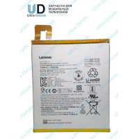 Аккумулятор для Lenovo L16D1P33 (TB-7504X Tab 4)